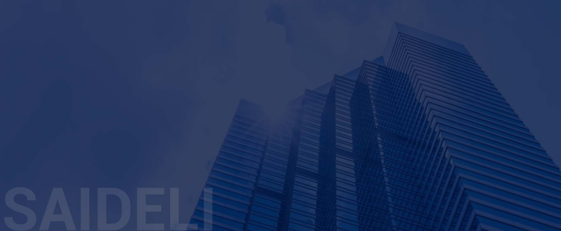 À propos de SAIDELI